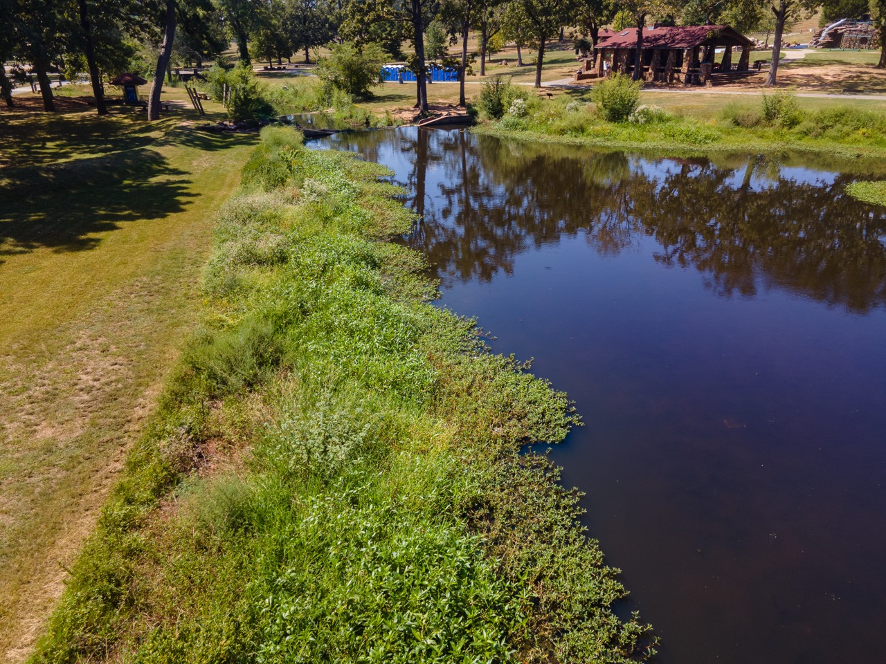 Photograph of War Memorial Park